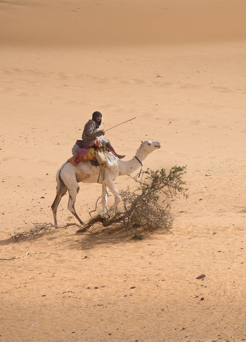 This image for Image Layouts addon