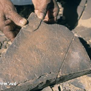 Site De Lemaltega Lefdar