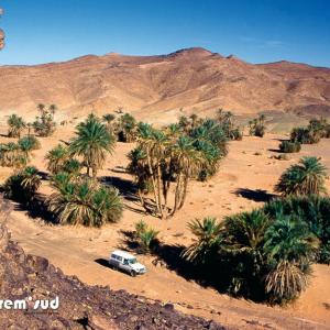 Oasis De Hassi Hachguig