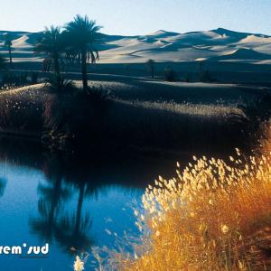 Ramla Daouada Um El Ma