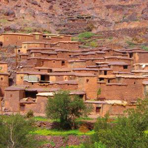 Habitat De L Anti Atlas