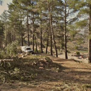 La Foret Du Jebel Takerma