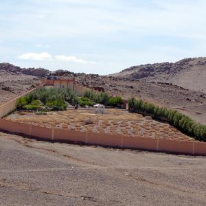 Cimetiere Juif De Tazenakht Photo G Colletta
