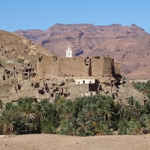 Tamsoult Photo J Gandini