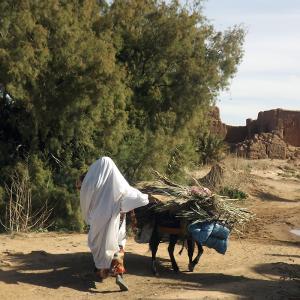 Vallee Du Dades Photo F Lesourd