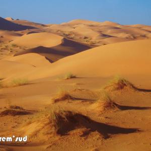 Erg Mauritanien