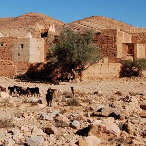 Tizgui Ida Ou Ali Ou Hamd