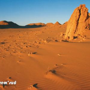 Petits Reliefs Sauvages